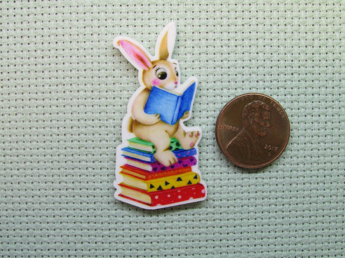 First view of the A Book Reading Bunny Needle Minder
