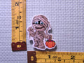 Third view of the Mummy Needle Minder